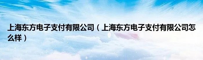 上海东方电子支付有限公司（上海东方电子支付有限公司怎么样）