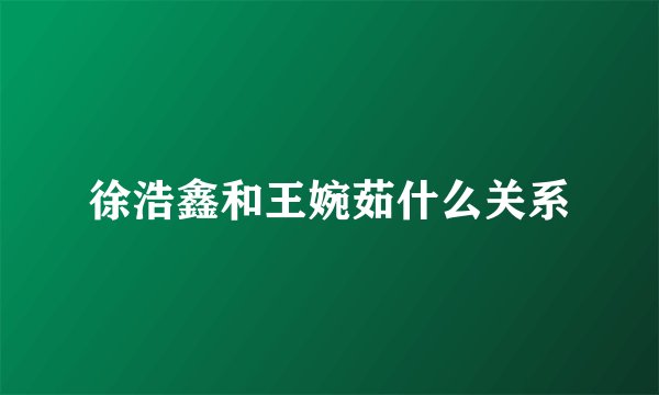 徐浩鑫和王婉茹什么关系