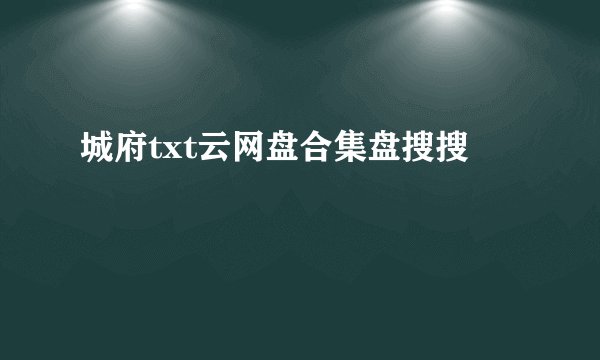 城府txt云网盘合集盘搜搜