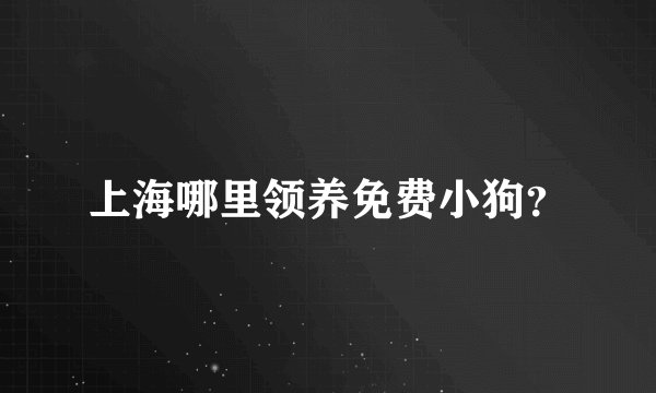 上海哪里领养免费小狗？