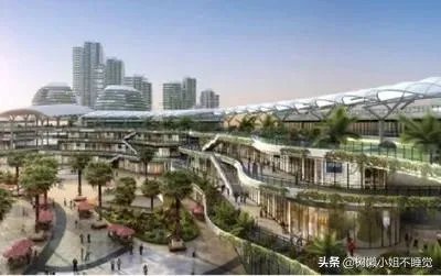 碧桂园森林城市到底是一个什么样的项目？