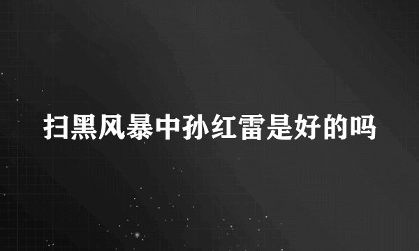 扫黑风暴中孙红雷是好的吗