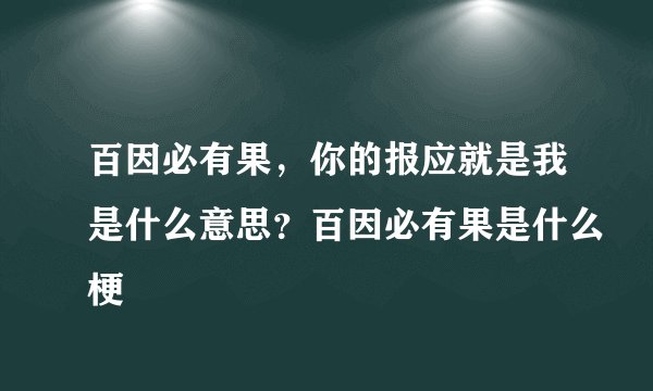 百因必有果，你的报应就是我是什么意思？百因必有果是什么梗