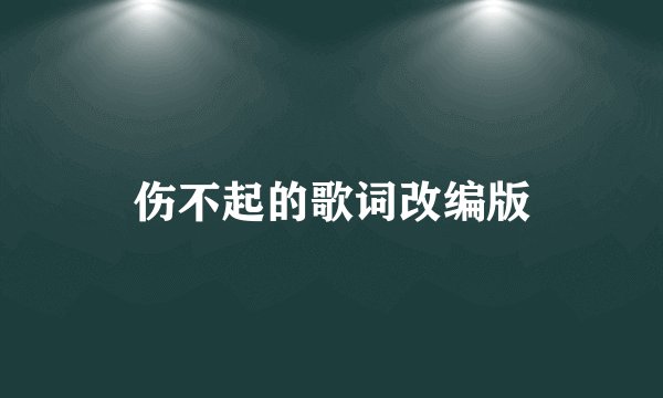 伤不起的歌词改编版