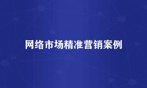 网络市场精准营销案例
