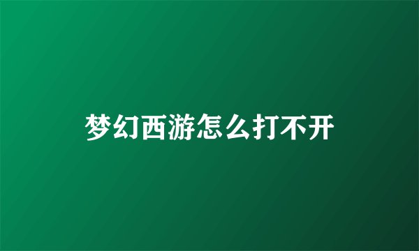 梦幻西游怎么打不开