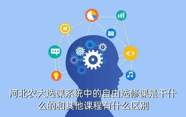 河北农大选课系统,河北农大的选课系统进不去没选课呢怎么办