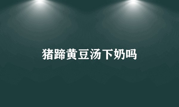 猪蹄黄豆汤下奶吗