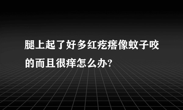 腿上起了好多红疙瘩像蚊子咬的而且很痒怎么办?