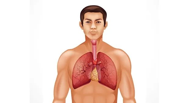 健康码突然变黄了是怎么回事 健康码突然变成黄码了怎么办