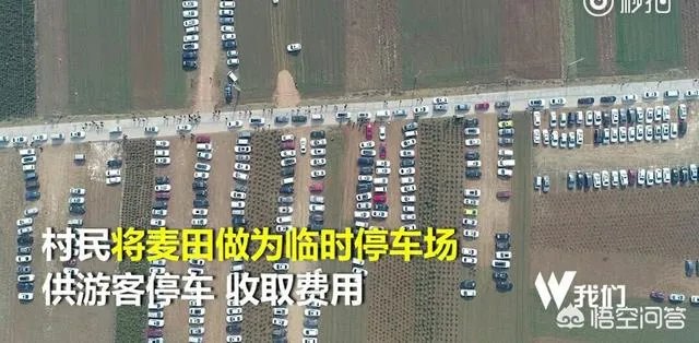西安村民将麦田设为临时停车场收费遭质疑，你怎么看？