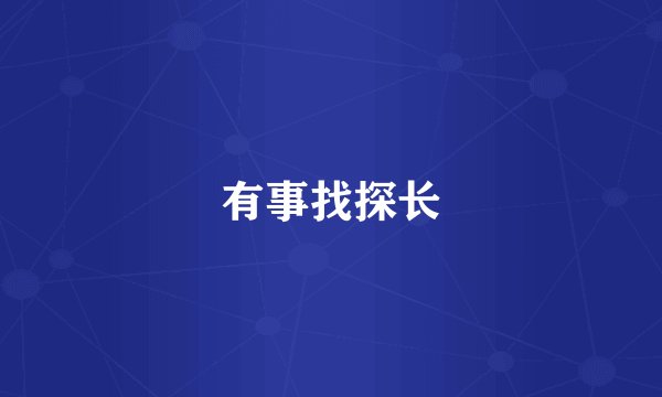 有事找探长