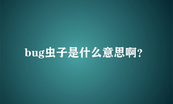 bug虫子是什么意思啊？