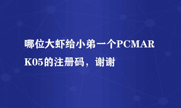 哪位大虾给小弟一个PCMARK05的注册码，谢谢