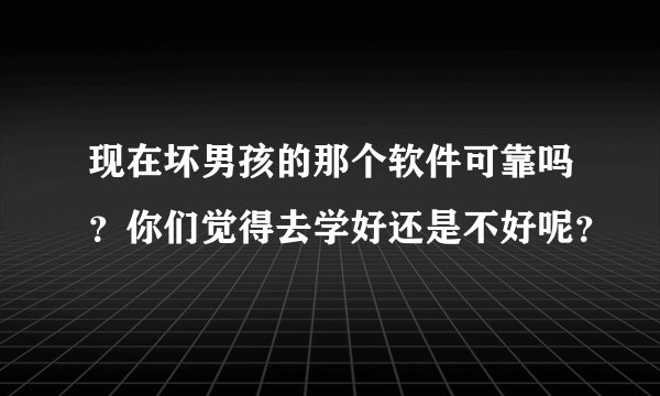 现在坏男孩的那个软件可靠吗?你们觉得去学好还是不好呢?