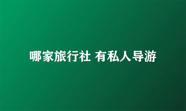哪家旅行社 有私人导游