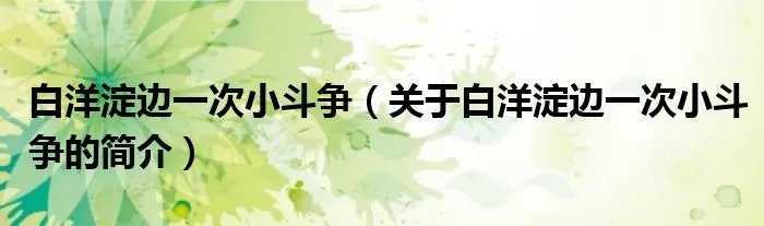 白洋淀边一次小斗争(关于白洋淀边一次小斗争的简介)
