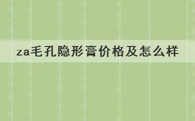 za毛孔隐形膏价格及怎么样