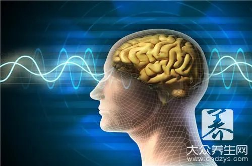 左脑思维和右脑思维有什么区别