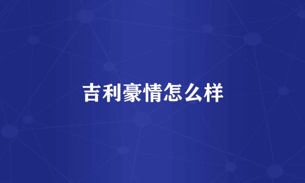 吉利豪情怎么样