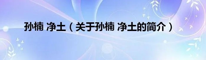 孙楠 净土（关于孙楠 净土的简介）