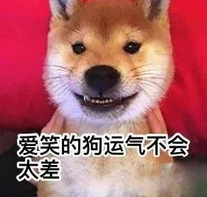 宝鸡一大学生单身21年终脱单,室友拉横幅游校一圈来庆祝,这事你怎么看?