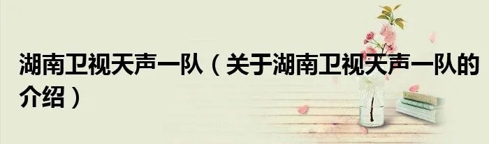 湖南卫视天声一队（关于湖南卫视天声一队的介绍）