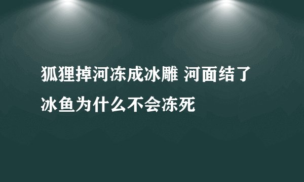狐狸掉河冻成冰雕 河面结了冰鱼为什么不会冻死