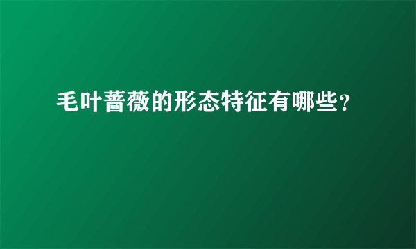 毛叶蔷薇的形态特征有哪些？