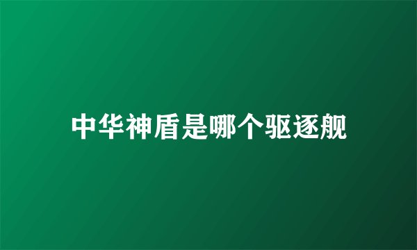中华神盾是哪个驱逐舰