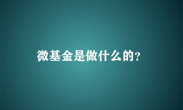 微基金是做什么的?