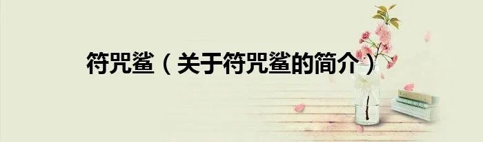 符咒鲨（关于符咒鲨的简介）