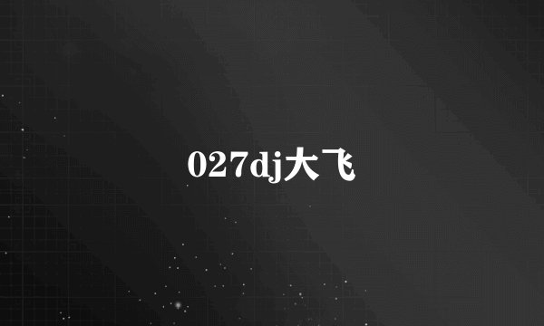 027dj大飞