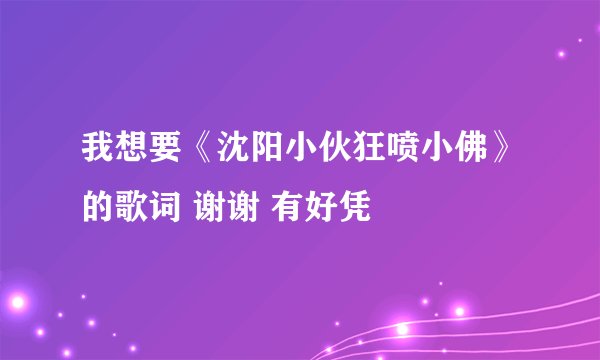 我想要《沈阳小伙狂喷小佛》的歌词 谢谢 有好凭