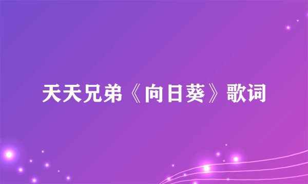 天天兄弟《向日葵》歌词