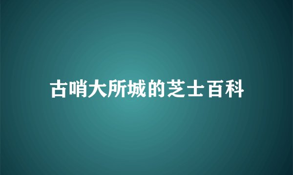 古哨大所城的芝士百科