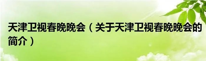 天津卫视春晚晚会（关于天津卫视春晚晚会的简介）