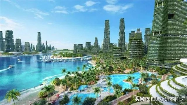 碧桂园森林城市到底是一个什么样的项目？