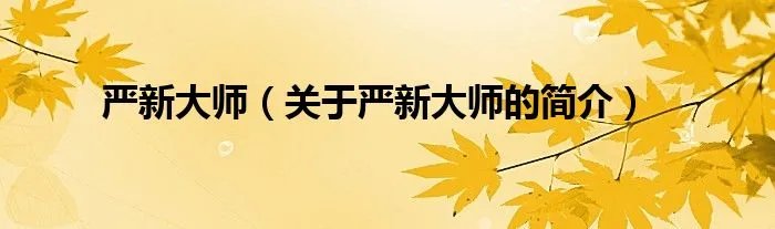 严新大师（关于严新大师的简介）