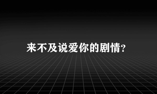 来不及说爱你的剧情？