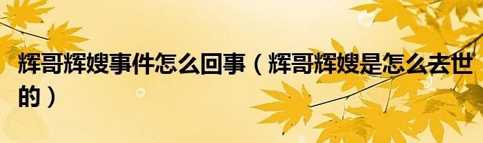 辉哥辉嫂事件怎么回事（辉哥辉嫂是怎么去世的）