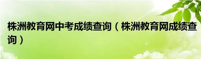 株洲教育网中考成绩查询（株洲教育网成绩查询）