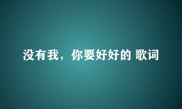 没有我，你要好好的 歌词