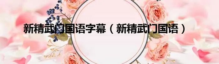新精武门国语字幕（新精武门国语）