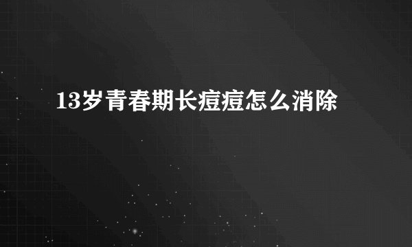 13岁青春期长痘痘怎么消除