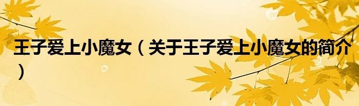 王子爱上小魔女（关于王子爱上小魔女的简介）