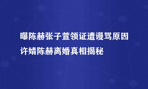 曝陈赫张子萱领证遭谩骂原因许婧陈赫离婚真相揭秘
