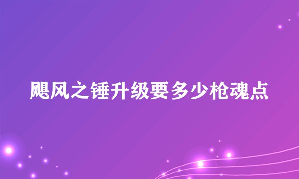 飓风之锤升级要多少枪魂点