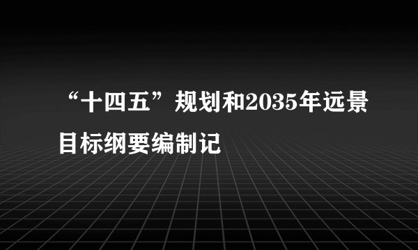 “十四五”规划和2035年远景目标纲要编制记