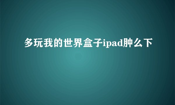 多玩我的世界盒子ipad肿么下